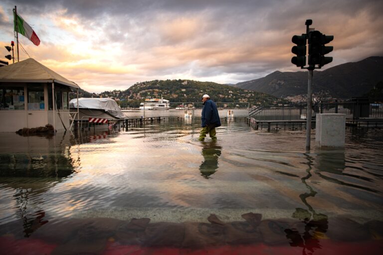 The Frog That Guards a Cathedral